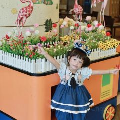 Yang Zi Xuan User Photo