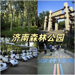 Laopaifang (wanda) User Photo