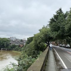 艾叶土鸡脚(艾叶店) User Photo