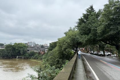 艾叶土鸡脚(艾叶店)