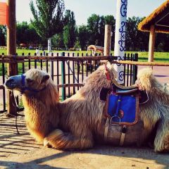 Happy Lamb Hot Pot User Photo