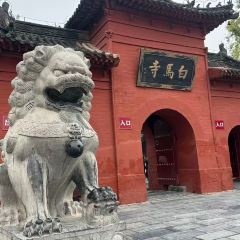 颍阳水席(登封店) User Photo