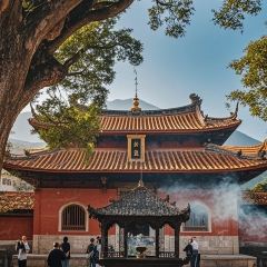 老炳·七丛松甘草水果 User Photo