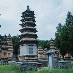 高玮削面馆 User Photo