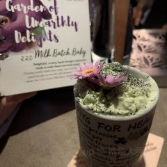 Summer Experiment張用戶圖片