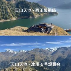 ZHENG FEI DAIRY User Photo