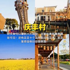 南山一品酒樓張用戶圖片