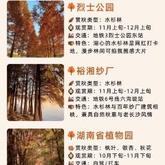 豆夫酥酥臭名远扬臭豆腐(总店) User Photo