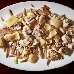 102 House User Photo