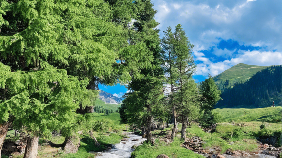 qiong ku shen tai gu cun luo guan jing dian