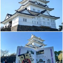 Odawara User Photo