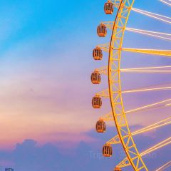 Taifu Restaurant User Photo