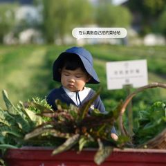 良壤有机庄园 User Photo