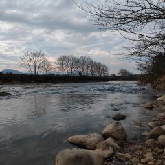 小竹林 User Photo