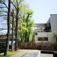 黄山梦溪别院·森林度假酒店(西溪南古村落店)·餐厅 여행 사진