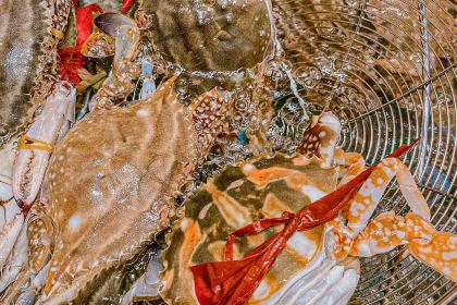 福宁海鲜大排档