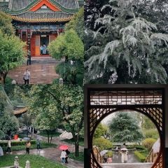 黑表叔黄辣丁鱼馆(西乡店) User Photo