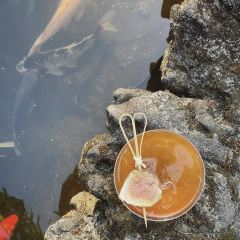 chill cafe User Photo