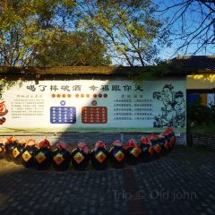 棲鳳渡魚粉基地鳳楚傳奇張用戶圖片