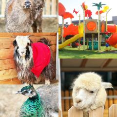 固安福朋酒店·宜客乐西餐厅 여행 사진