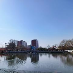 泉上农贸市场 User Photo
