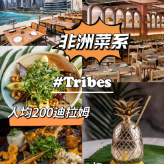 Social House 여행 사진