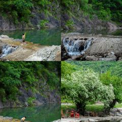 一茶一坐农庄 User Photo