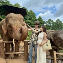 Elefin Farm & Cafe เอเลฟิน ฟาร์ม แอนด์ คาเฟ่ User Photo