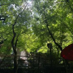 Hirobun 여행 사진