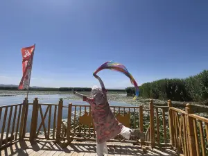bo si teng hu lian hai shi jie jing qu lian hua guang chang