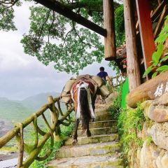 一木草堂咖啡馆 User Photo