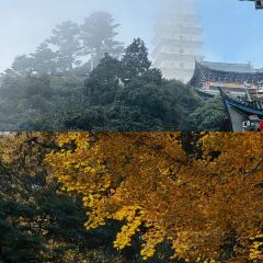 二对咖啡 User Photo