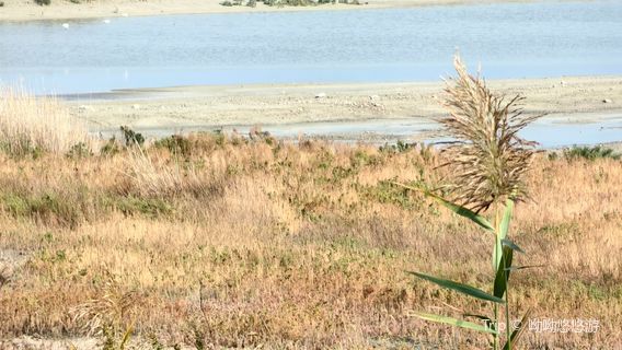 Yuncheng Salt Lake Ecological Wetland Park