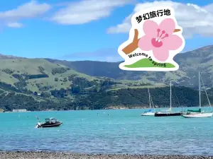 Akaroa Fish & Chips
