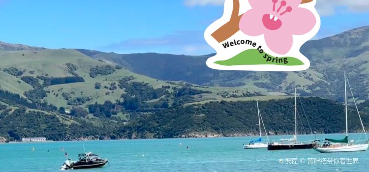 Akaroa Fish & Chips