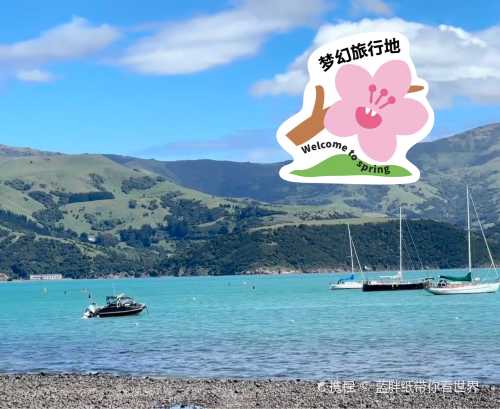 Akaroa Fish & Chips