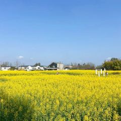 溪地阿兰若度假村落(大邑安仁古镇店)·水榭西餐厅 User Photo