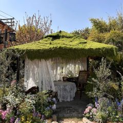 DONGLI ORIENT COURTYARD User Photo