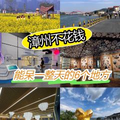 老字号青年路锅边糊 User Photo