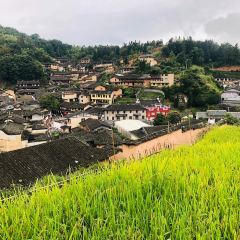 尤溪桂峰实在家庭民宿·餐厅 User Photo