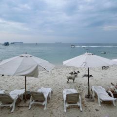 City Coffee Pattaya張用戶圖片