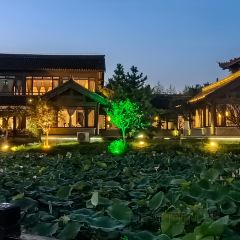 Qisu Court User Photo