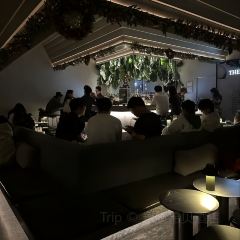 鼠尾草雞尾酒威士忌吧(慶安街店)張用戶圖片
