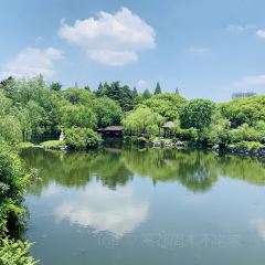 無錫魯能萬豪飯店·萬豪中餐廳張用戶圖片