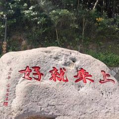 海峡食府海鲜大排档 User Photo