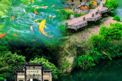 兵俤粉幹鹵味（福州總店）