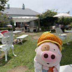 Czegs' Cafe 여행 사진