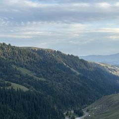 草原羊羔肉 User Photo