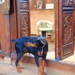 村边·合CAFE User Photo