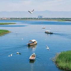 Baijiazhaobing User Photo